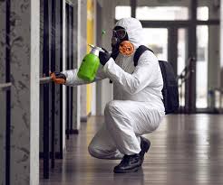 Reliable Canby, OR Mold Removal Solutions